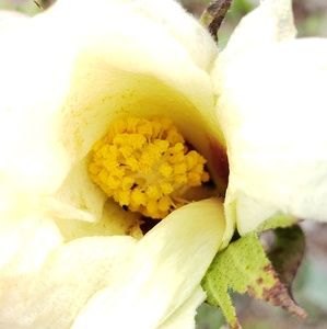 Meet your Posher, Joni